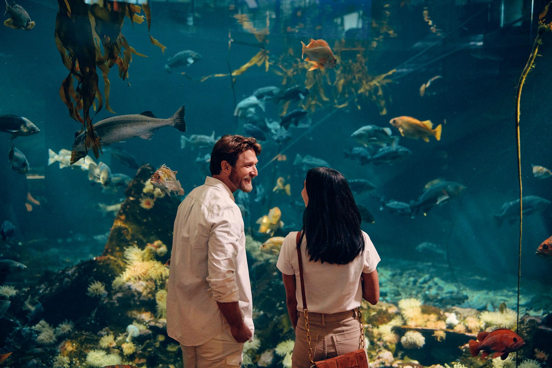 Vancouver Aquarium - Destination Vancouver