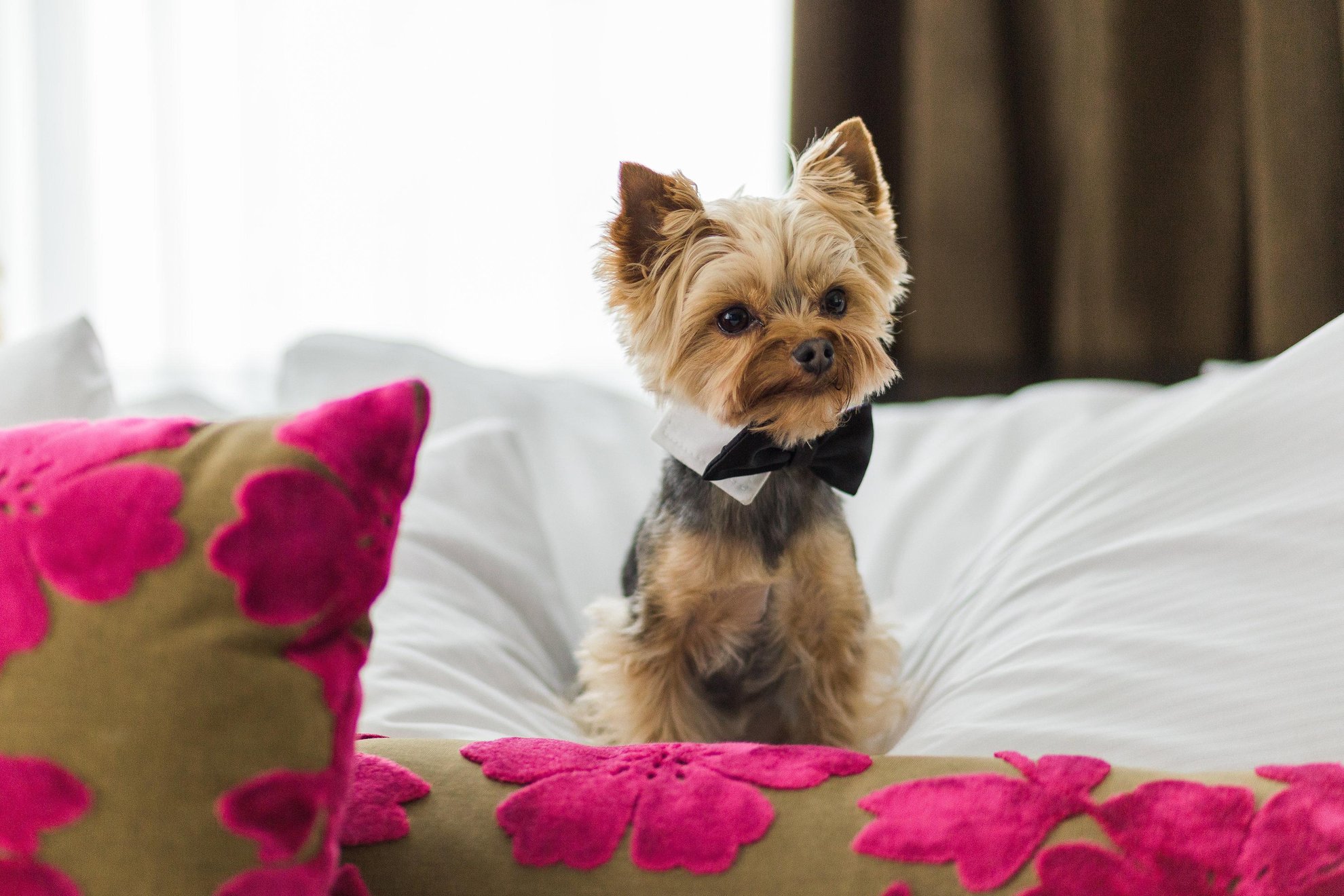 OPUS Weddings 3.jpg