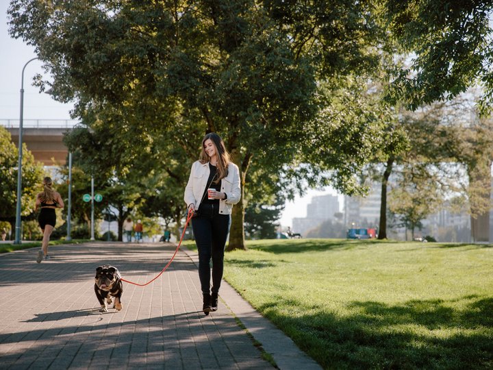 Dog Friendly Things to do Vancouver