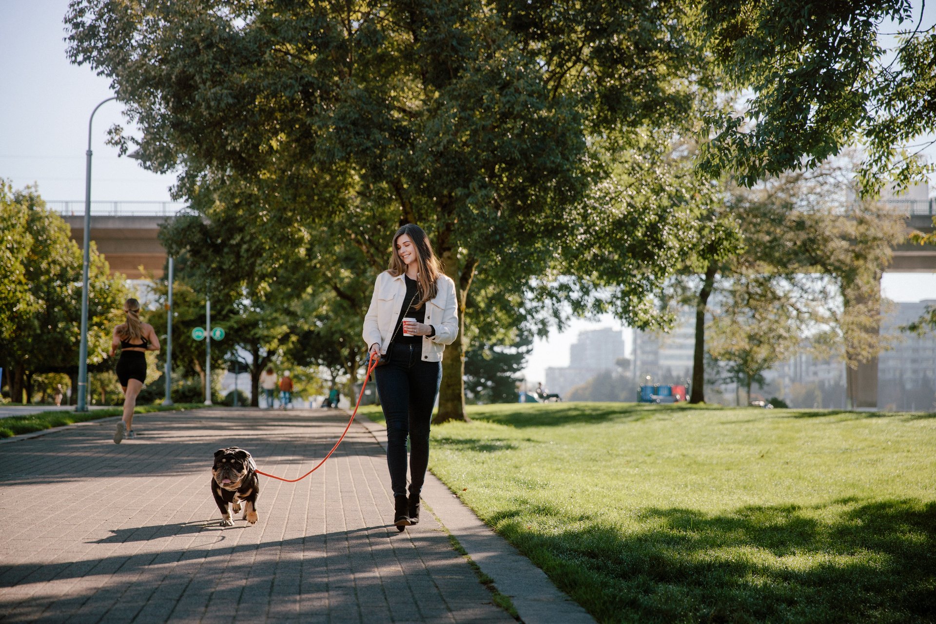 Dog Friendly Things to do Vancouver
