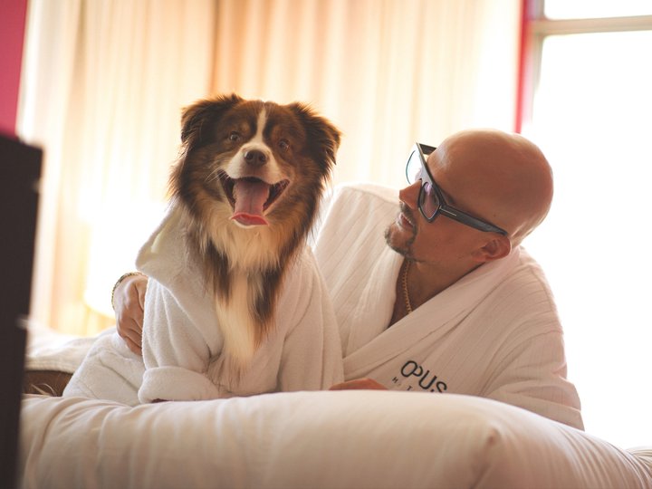 Dog Friendly Yaletown